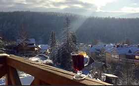 Шовкова Косиця